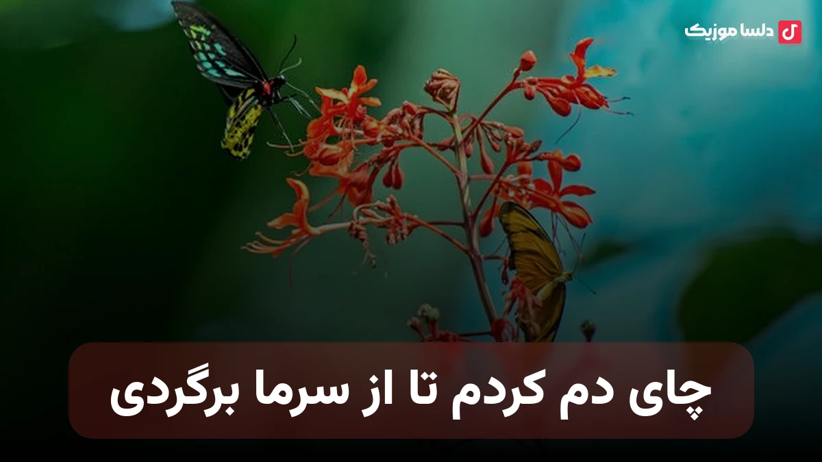 چای دم کردم تا از سرما برگردی صدای زن